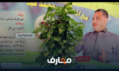 زراعة نبات البوتس