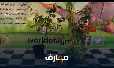 طريقة تسميد أشجار الليمون