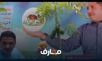 كيفية زراعة البابايا في المنزل