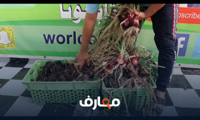 زراعة البصل والثوم في المنزل