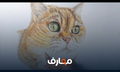 كورس تعلم اساسيات الرسم للمبتدئين شرح عربى كورس تعلم اساسيات الرسم للمبتدئين شرح عربى