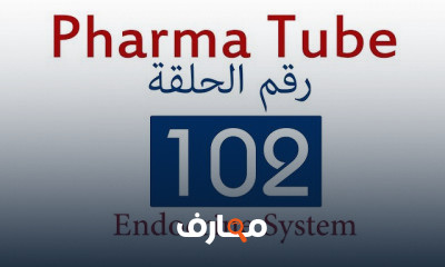 دورة تدريبية لتعلم Endocrine System