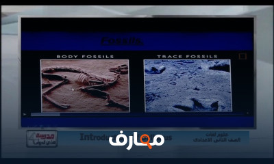 علوم لغات 2 إعدادي Science