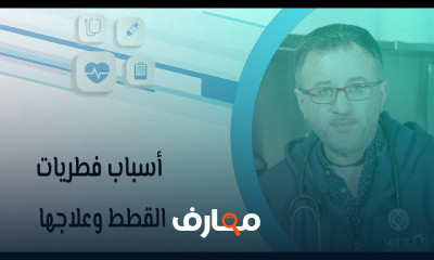 الطب البيطري