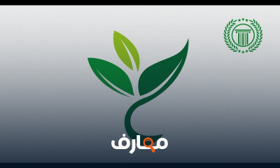 Logo Design illustrator for Beginners