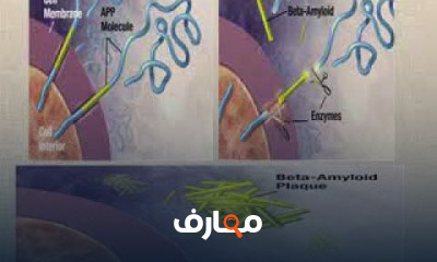 مقرر صيدلة إكلينيكية 2 مستوى رابع أ د طارق مصطفى