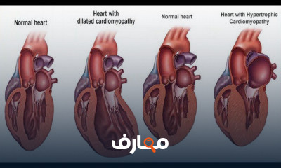 محاضرات مادة صيدلة إكلينيكية الفرقة الثالثة أ د طارق مطصفى