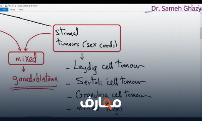 أمراض الأعضاء التناسلية الذكرية male genital pathology