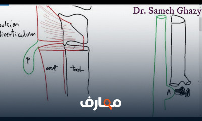 علم أمراض الجهاز الهضمي GIT pathology