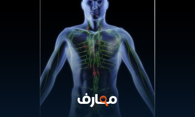 تشريح الجهاز اللمفاوي anatomy of lymphatic system
