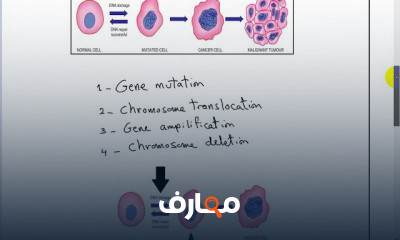 مرض السرطان CANCER
