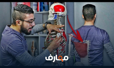 مشاكل وعلاج مفصل الكتف