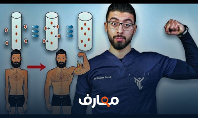 تشريح العضلات