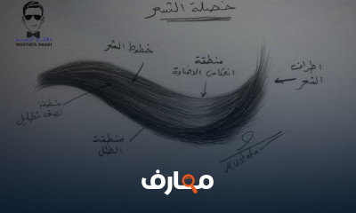 رسم الشعر خطوة بخطوة