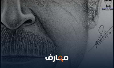 الرسم للمبتدئين