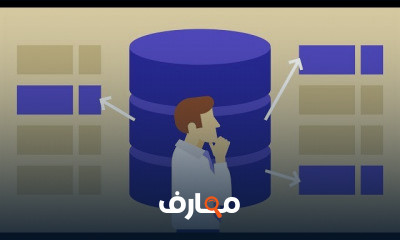 قواعد البيانات المحلية في الفيجول ستوديو