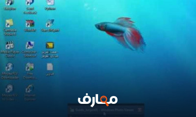 Python Programming Language