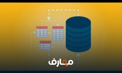 SQL and Database