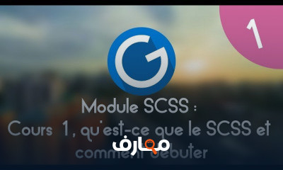 SCSS