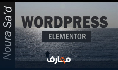 wordpress programming