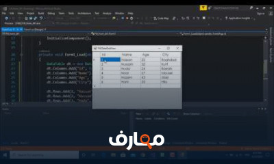 DataGridView C