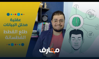 محلل البيانات