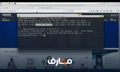 Python network programming DNS
