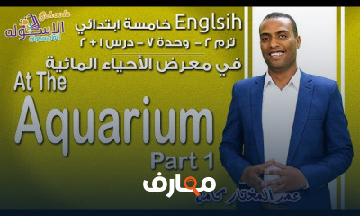 إنجليزي خامسة ابتدائي تيرم2