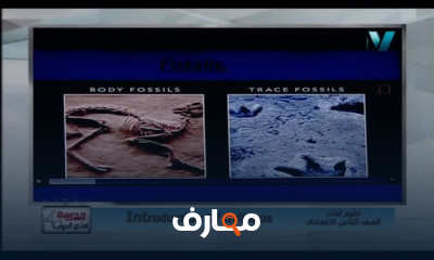علوم لغات الصف الثاني الإعدادى للعام الدراسي الترم الثاني