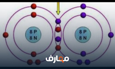 العلوم للصف الاول الاعدادي ترم تاني