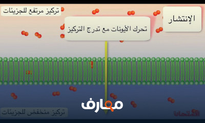 الأحياء الصف الثانى الثانوى الترم الاول