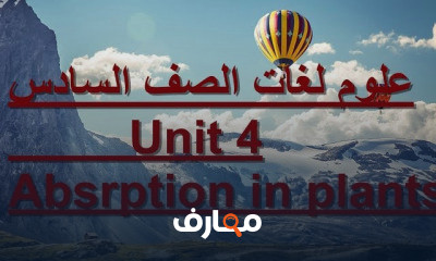 علوم لغات الصف السادس الأبتدائي الترم الثاني