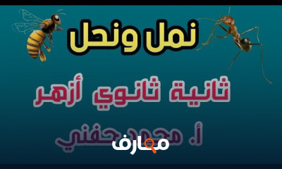 مطالعة ثانية ثانوي ترم ثاني