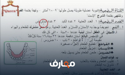 الصف الرابع الابتدائي علوم الترم الثاني