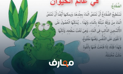 الصف الرابع الابتدائي لغة عربية الترم الثاني