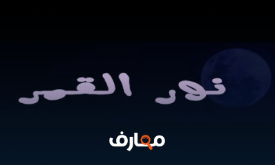 الصف الرابع الابتدائي لغة عربية الترم الثاني