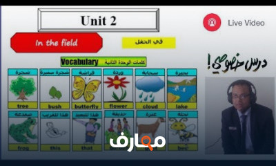 الصف الثاني الابتدائي لغة انجليزية ترم اول