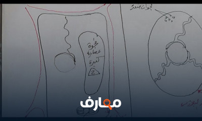 الاحياء اولى ثانوى