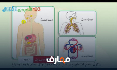علوم رابعة ابتدائي