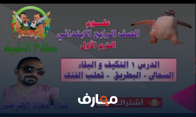 علوم الصف الرابع الترم الأول