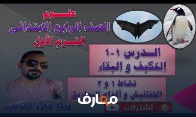 علوم الصف الرابع الابتدائى الترم الأول