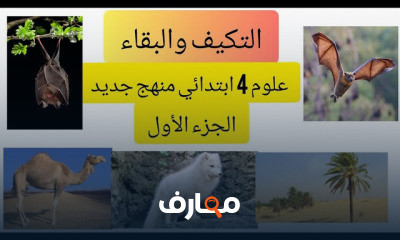 علوم رابعة ابتدائي منهج جديد