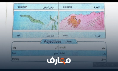 الصف السادس ترم ثاني