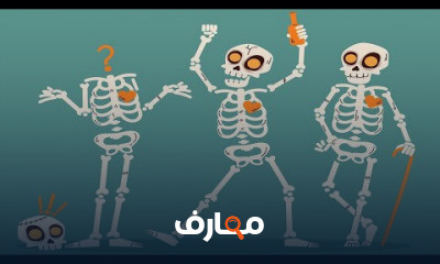 كونكت بلس الصف الرابع الابتدائي الترم الاول