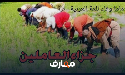 الصف الخامس الابتدائي الترم الاول لغة عربية