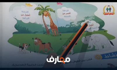 رياضيات الصف الاول الابتدائي الترم الثاني