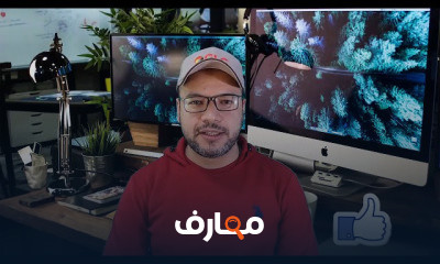 الصف الثاني الابتدائي انجليزي ترم ثاني