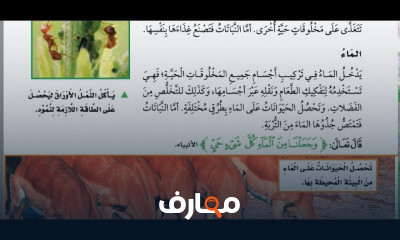 الصف الثالث علوم الترم الأول