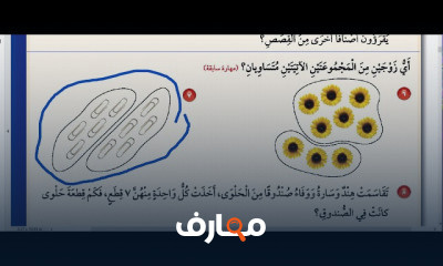 الصف الثالث رياضيات الترم الثاني