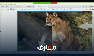 أ الصف السادس علوم الترم الثاني